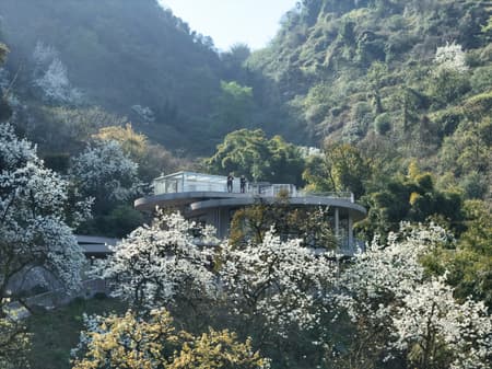 Buzzy Sunny· Feixue Pavilion